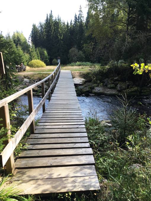 Wandern im Böhmerwald
